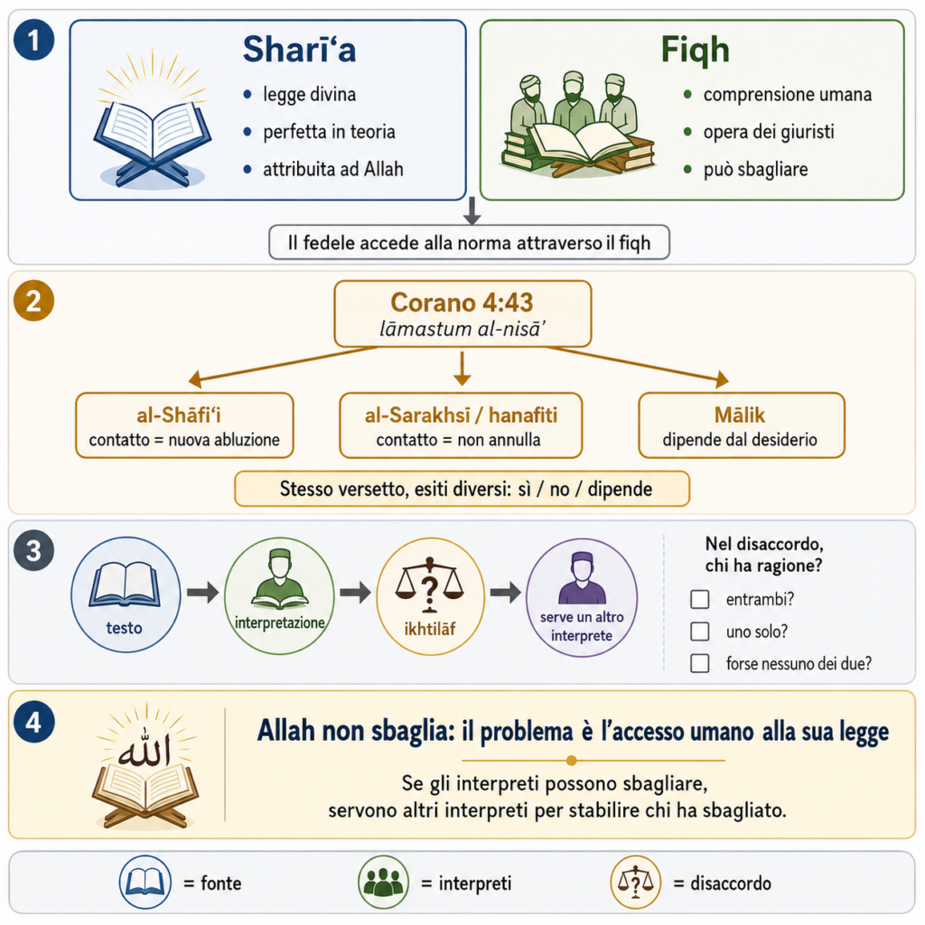 Infografica sulla differenza tra sharīʿa e fiqh e sul disaccordo tra giuristi islamici nell’interpretazione della legge di Allah.