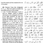 Sahih al-Bukhari hadith 402 - Umar ibn Khattab suggerisce tre versetti a Maometto